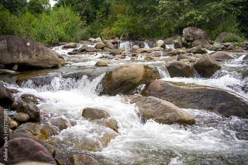 Wallpaper Mural The river flows through the rocks during summer. Torontodigital.ca