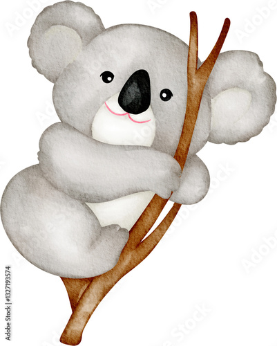 Photography watercolor koala