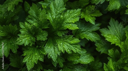 green leaves background