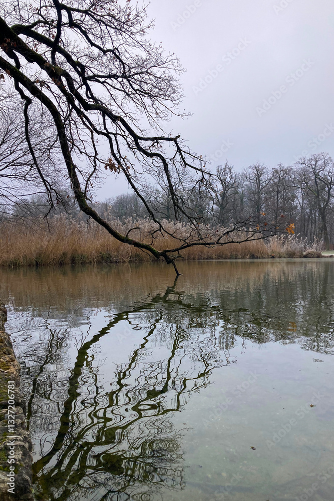 Mystery morning foggy park in the Nymphenburg Palace in Munich, Germany Mystery morning foggy park in the Nymphenburg Palace in Munich, Germany