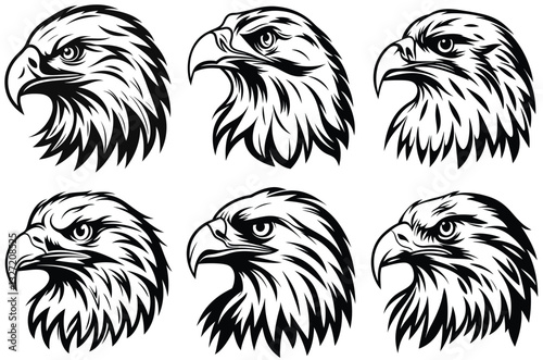 Majestic Eagle Hawk Bird of Prey Illustration with Sharp Eyes and Powerful Feathers