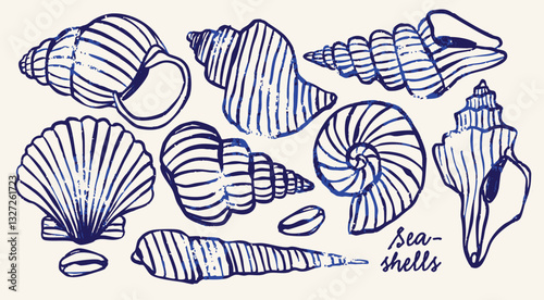 Various Seashells set. Different shapes. Outline modern style. Summer, vacation, ocean, beach concept. Hand drawn trendy Vector illustration. Isolated design elements