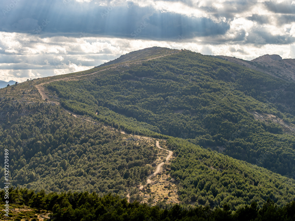 Fotografie Mountain peak in summer with a path in a forest firebreak