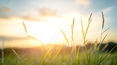 Golden sun rays shining down on a field of grass swaying gently in the evening light : Generative AI