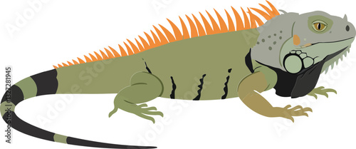 A detailed green iguana with distinctive orange spines and a curious expression in a flat vector illustration style showcasing vibrant colors and dynamic shapes in nature