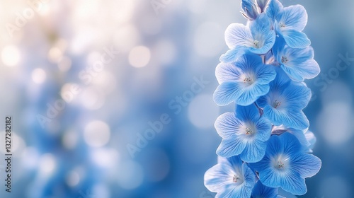 Delicate, light-blue flowers in soft focus photo