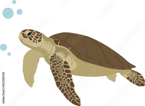 A graceful green sea turtle swimming serenely through clear blue waters in a flat vector illustration showcasing aquatic life and tranquility in nature