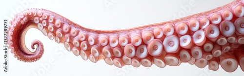 A large, long, and curved octopus tentacle with many small, white, and pink dots