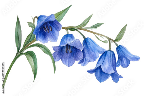 Fototapeta Naklejka Na Ścianę i Meble -  Beautiful blue flowers with delicate petals and leaves