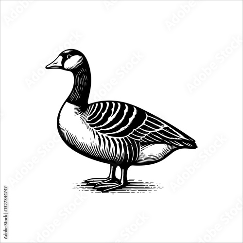 Simple American Buff Goose Standing Vector Icon – Vintage Logo & Retro Illustration