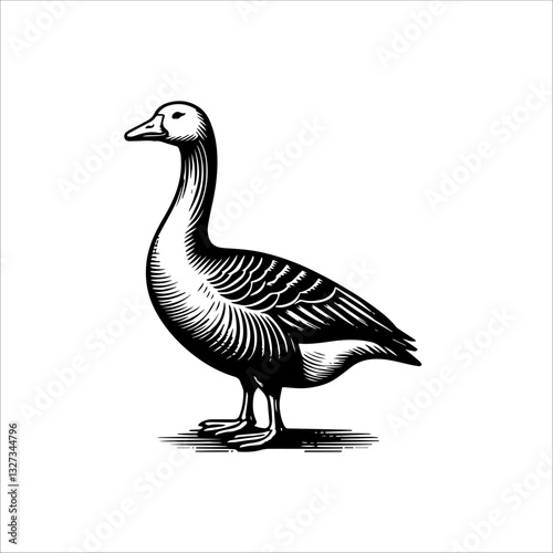 Simple American Buff Goose Standing Vector Icon – Vintage Logo & Retro Illustration