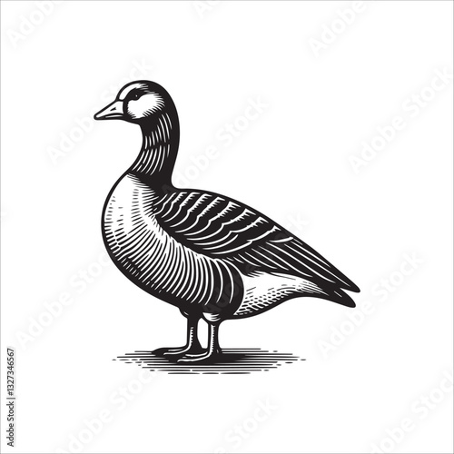 Simple American Buff Goose Standing Vector Icon – Vintage Logo & Retro Illustration