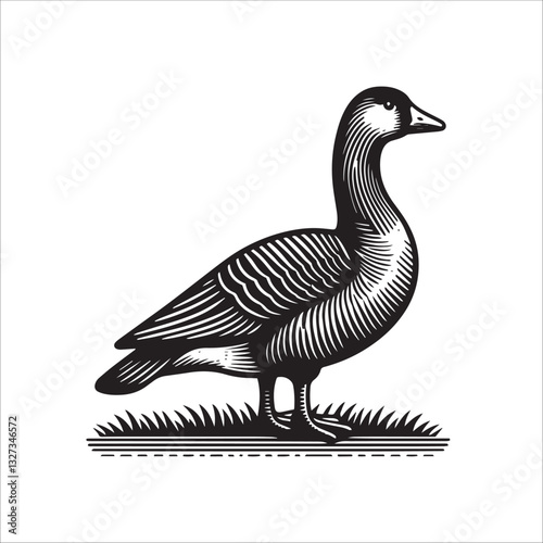 Simple American Buff Goose Standing Vector Icon – Vintage Logo & Retro Illustration