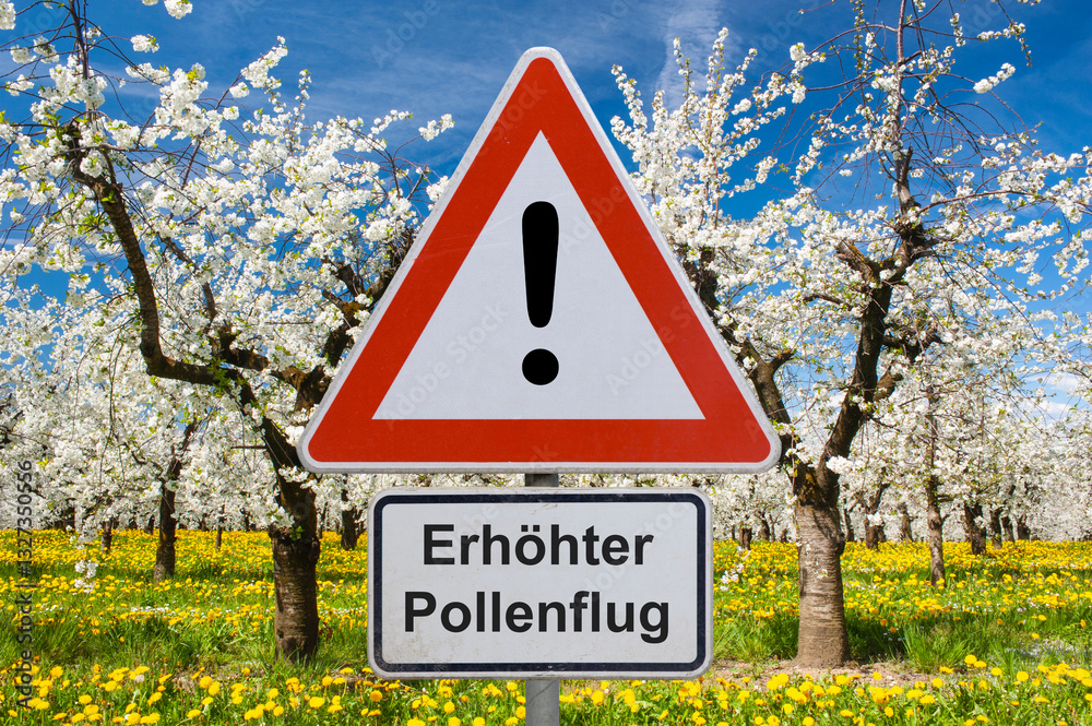 Ein Verkehrsschild warnt vor Pollen, Pollenflug und Allergie im Frühling vor den Blüten im Frühling - FOTOMONTAGE