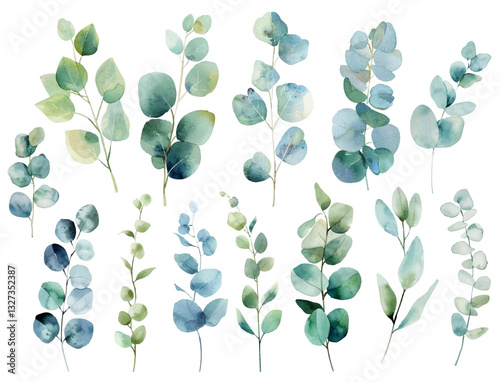 Eucalyptus branches vector collection, five distinct stems with rounded, oval-shaped leaves in varying shades of blue, green, and teal. Eucalyptus branches painted in a watercolor style.