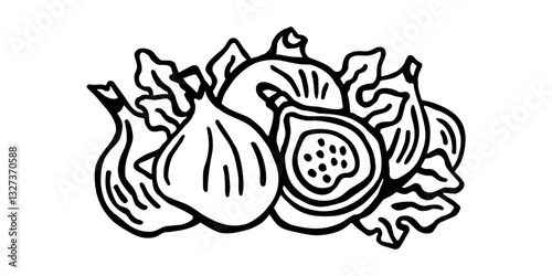 
Vector black and white horizontal image of fig with leaves on white isolated background