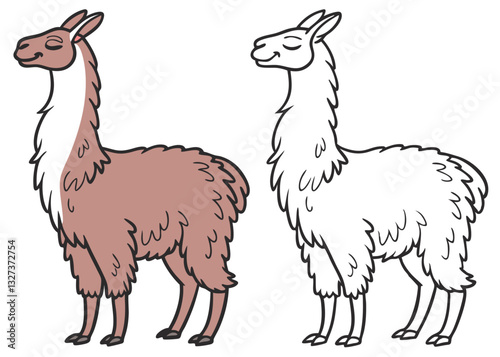 vector illustration of a llama coloring book