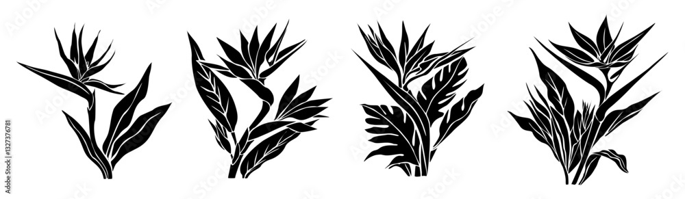 Fototapeta premium Set of Bird of paradise flower black silhouettes, monochrome outline drawing of Strelitzia plants, clip art, cut out file, vector illustration isolated 