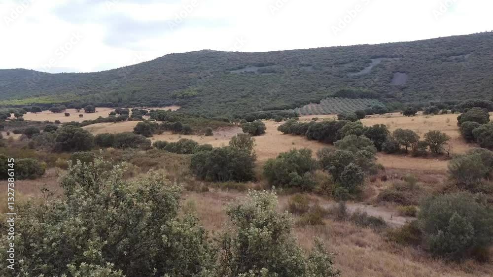 Aerial Drone Shot Starting Behind Trees Over a Farm in Toledo, Spain - 602
Aerial Drone Shot Starting Behind Trees Over a Farm in Toledo, Spain - 602