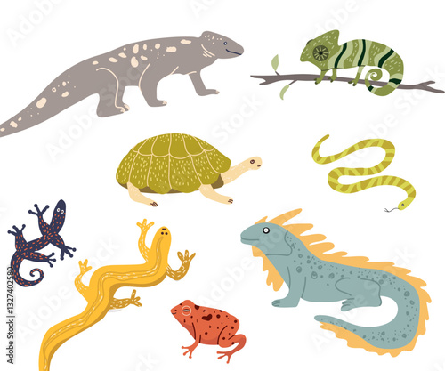 Cute terrarium amphibians and exotic reptiles set  hand drawn vector illustration. Salamander, chameleon, frog and toad, turtle, lizard, gecko, triton, snake, iguana.