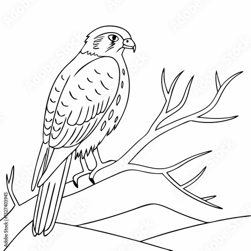 bird on a branch and The Fascinating World of Birds, The Life of Birds, The Secret Lives of Birds, Nature’s Melodies, The Story of Birds, The Journey of Birds, Understanding Birds