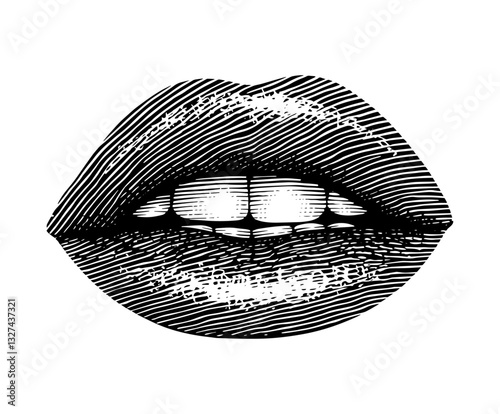 Vintage lips engraving in black and white for anatomical illustration