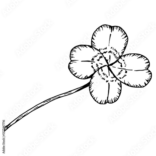 Four leaf clover. Leaves on a stem. Symbol of St. Patrick's Day. Hand drawn in ink monochrome illustration. Perfect for floral arrangements, Irish designs, herbal projects, good luck charms