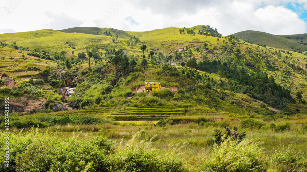 Typical Madagascar landscape in region near Sandrandahy. Terrain with small hills covered with bushes and few trees, red clay houses, rice fields in foreground
