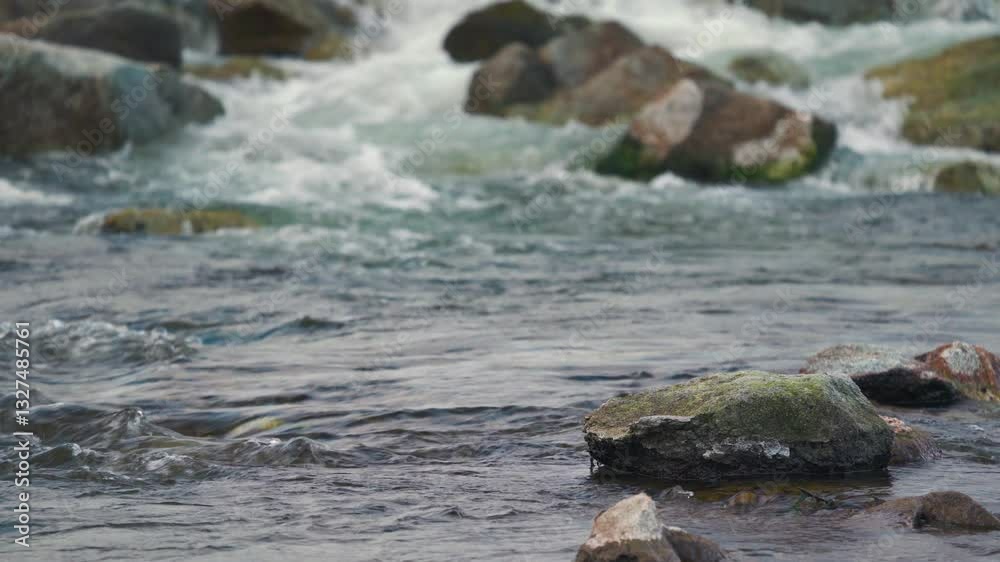 Water flowing in a river, near rocks, some of them covered by green algae and moss Water flowing in a river, near rocks, some of them covered by green algae and moss