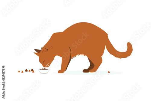 cat eating beautiful dry isolated