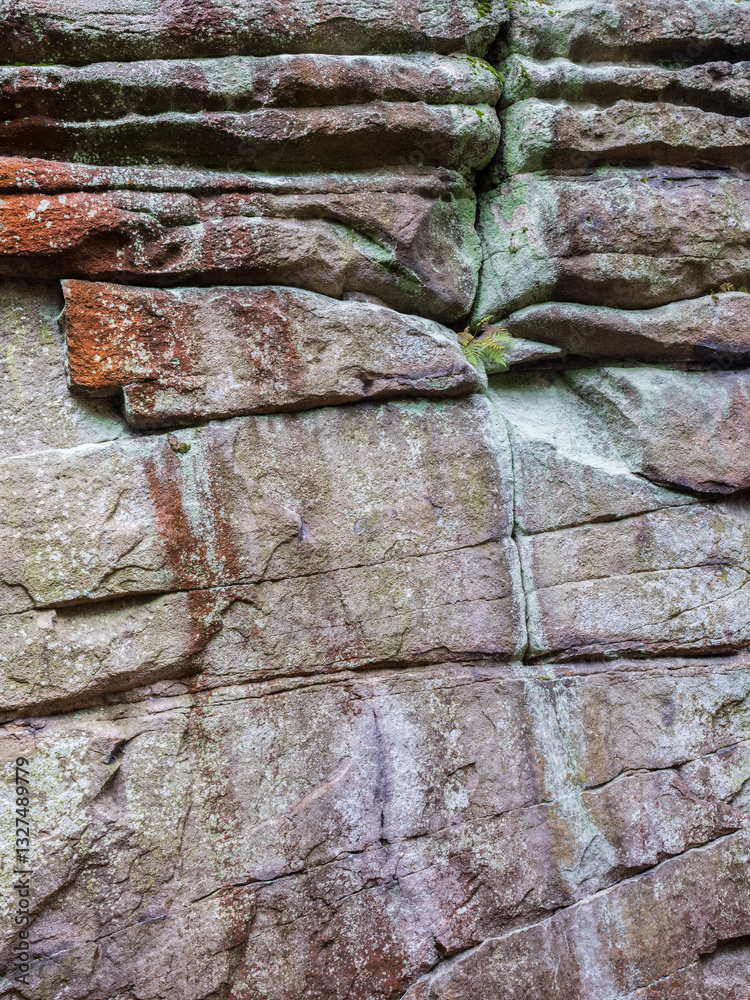 Abstract background image of granite rock surface with cracks and a fern