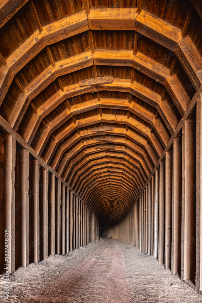 Abandoned railroad tunnel famous as roosting site for bats in rural Texas.