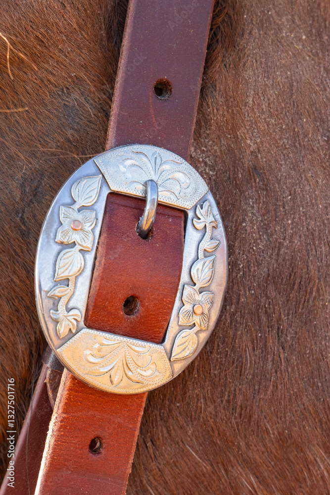 Buckle and strap on a horse bridle.