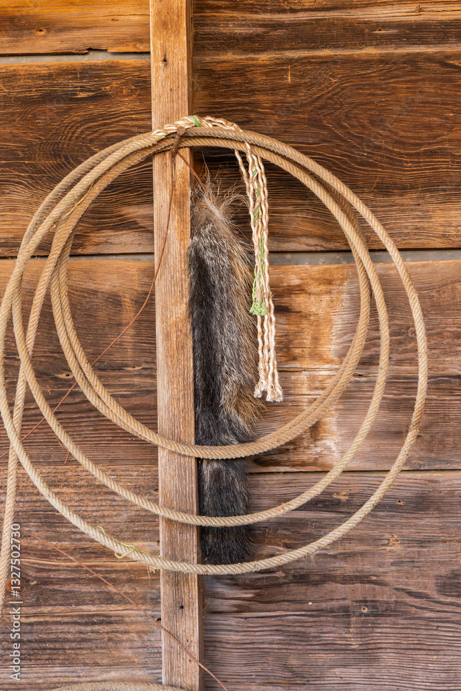 Coiled lasso rope hanging on a barn wall.
