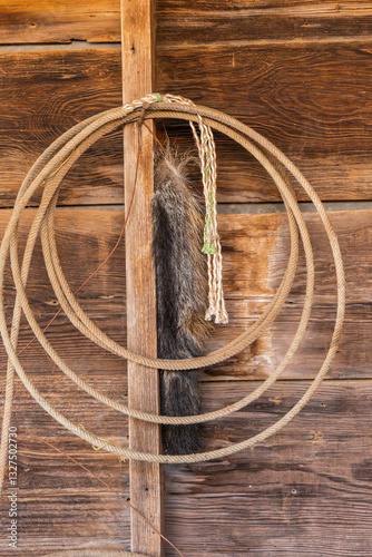 Obraz na płótnie Coiled lasso rope hanging on a barn wall. w salonie