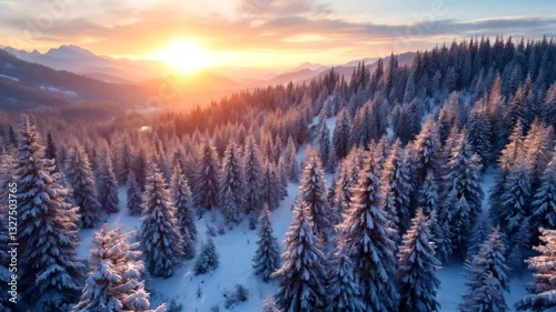 Golden Hour over Snowy Forest: A breathtaking aerial view of a snow-covered evergreen forest beneath a vibrant sunset. The landscape captures the tranquility and majesty of nature.
