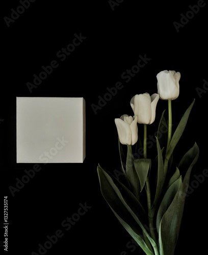 Special Occasion Gift Concept