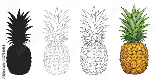 collection of pineapple tropical fruits isolated on white background