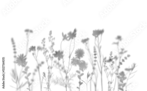 Fototapeta Naklejka Na Ścianę i Meble -  Wildflowers shadow isolated on white background.  Overlay effect for photo, mockup, posters, wall art, design presentation. Shadow for natural light effects.