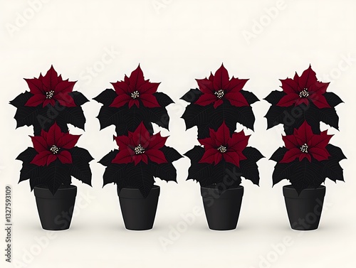 Potted poinsettias, Christmas flowers arranged on display