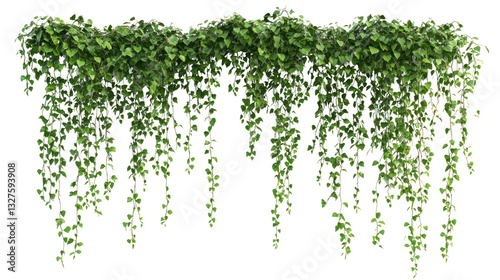 Lush green ivy cascading down a wall, enhancing the natural ambiance of the setting