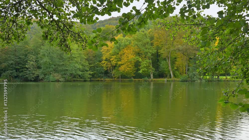 Stadtteich, See, Laubwald, Spätsommer, Amorbach, Bayern, Deutschland Stadtteich, See, Laubwald, Spätsommer, Amorbach, Bayern, Deutschland