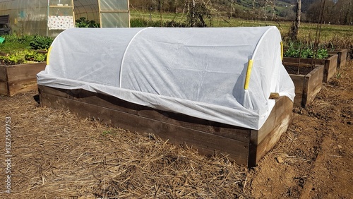 wooden bed for vegetable garden with a hobby polytunnel . Tunnel with thermal blanket for growing food in autumn and winter.
