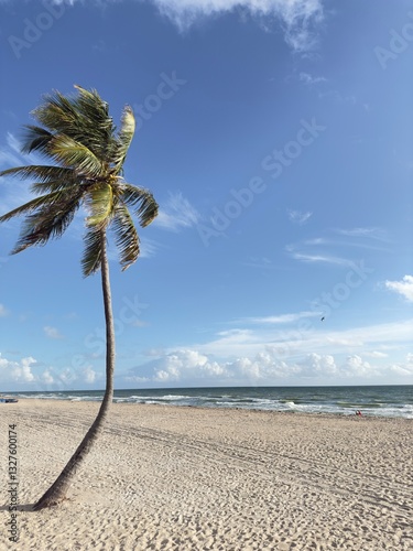 Wallpaper Mural palm tree on the beach Torontodigital.ca