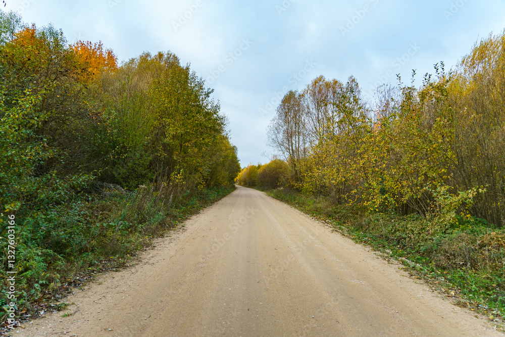 Fototapeta premium A dirt road in an overgrown park. Autumn countryside at sunset.