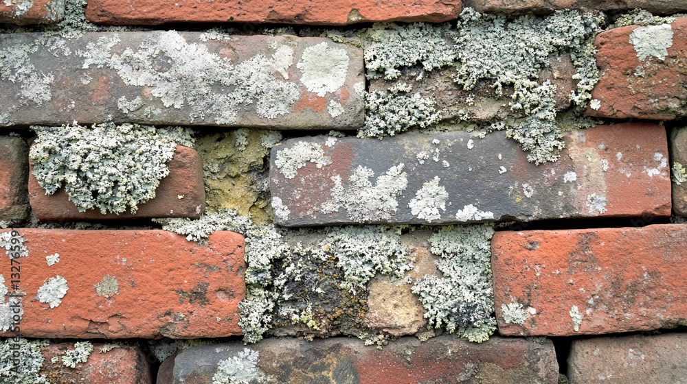 Old brick wall covered in lichen showcasing textures and colors in an outdoor setting Old brick wall covered in lichen showcasing textures and colors in an outdoor setting