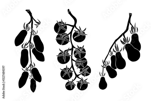 Set of silhouettes, stamps of branches of cherry tomatoes. Vector graphics.