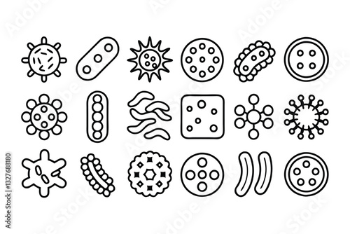 probiotics bacteria  microbes  infection and patho