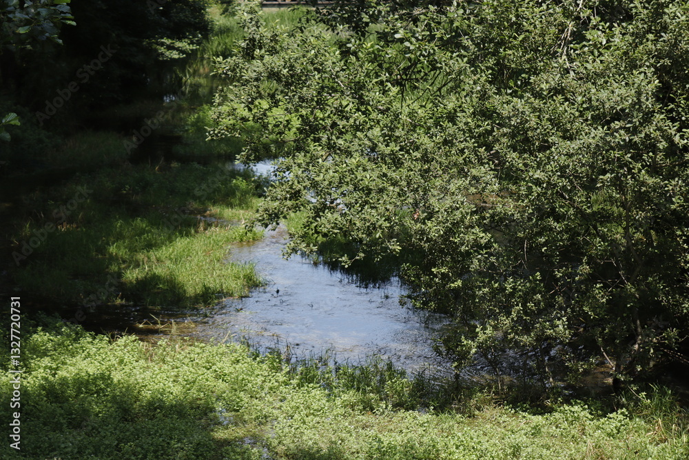 Fototapeta premium LAGO DE GENOS LONDEVILLE. FRANCIA