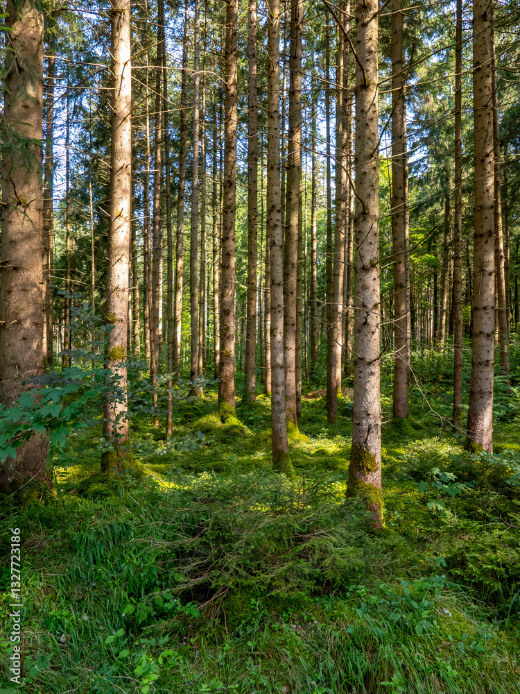 Landscape near Siegertsbrunn in Bavaria. Landscape near Siegertsbrunn in Bavaria.